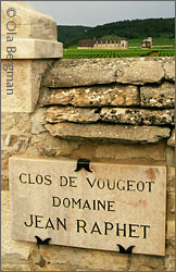 Clos de Vougeot by Domaine Jean Raphet