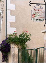 Domaine Vigreux in Coulanges-la-Vineuse, Burgundy