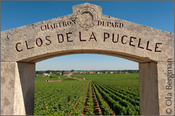Puligny-Montrachet, Clos de la Pucelle by Domaine Jean Chartron.