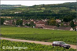 View over Santenay, Burgundy.