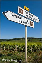 Savigny-lès-Beaune, Fourneaux.
