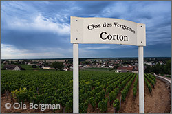 Corton, Clos des Vergennes, Ladoix-Serrigny.