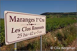 Maranges premier cru Clos Roussots.