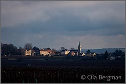 Aloxe-Corton, Burgundy.