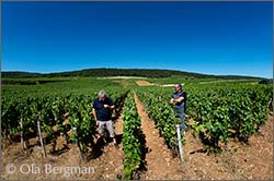 Jean Philippe and Denis Marchand at Maison Jean Philippe Marchand and Domaine Marchand Frères, Gevrey-Chambertin, Burgundy.