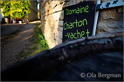 Domaine Charton-Vachet, Saint-Vallerin, Burgundy.