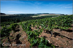 Domaine de la Cras in Plombières-lès-Dijon.
