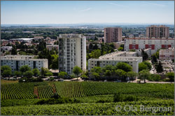 Bourgogne Montre-Cul.