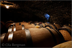 Domaine du Chétif Quart in Cercot, Burgundy.