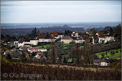 View from Domaine du Chétif Quart in Cercot, Burgundy.