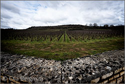 Santenay premier cru, Grand Clos Rousseau.