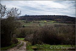 Hautes-Côtes de Beaune vineyards in Cormot.