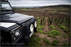 Montagny premier cru, Les Coères.