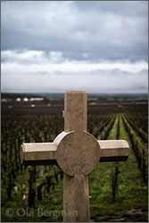 Chambolle-Musigny premier cru, Les Sentiers.