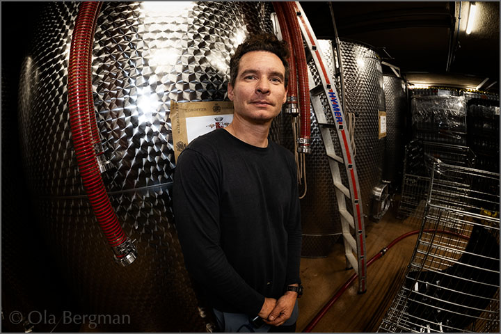 Nicolas Groffier at Domaine Robert Groffier Père & Fils, Morey-Saint-Denis, Burgundy.